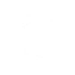 Amy’s Crystal Creations
